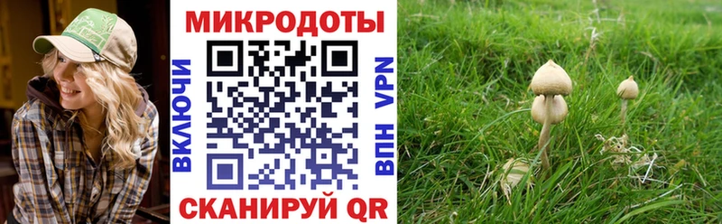 купить наркотик Протвино Псилоцибиновые грибы ЛСД